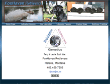 Tablet Screenshot of foxhavenretrievers.com